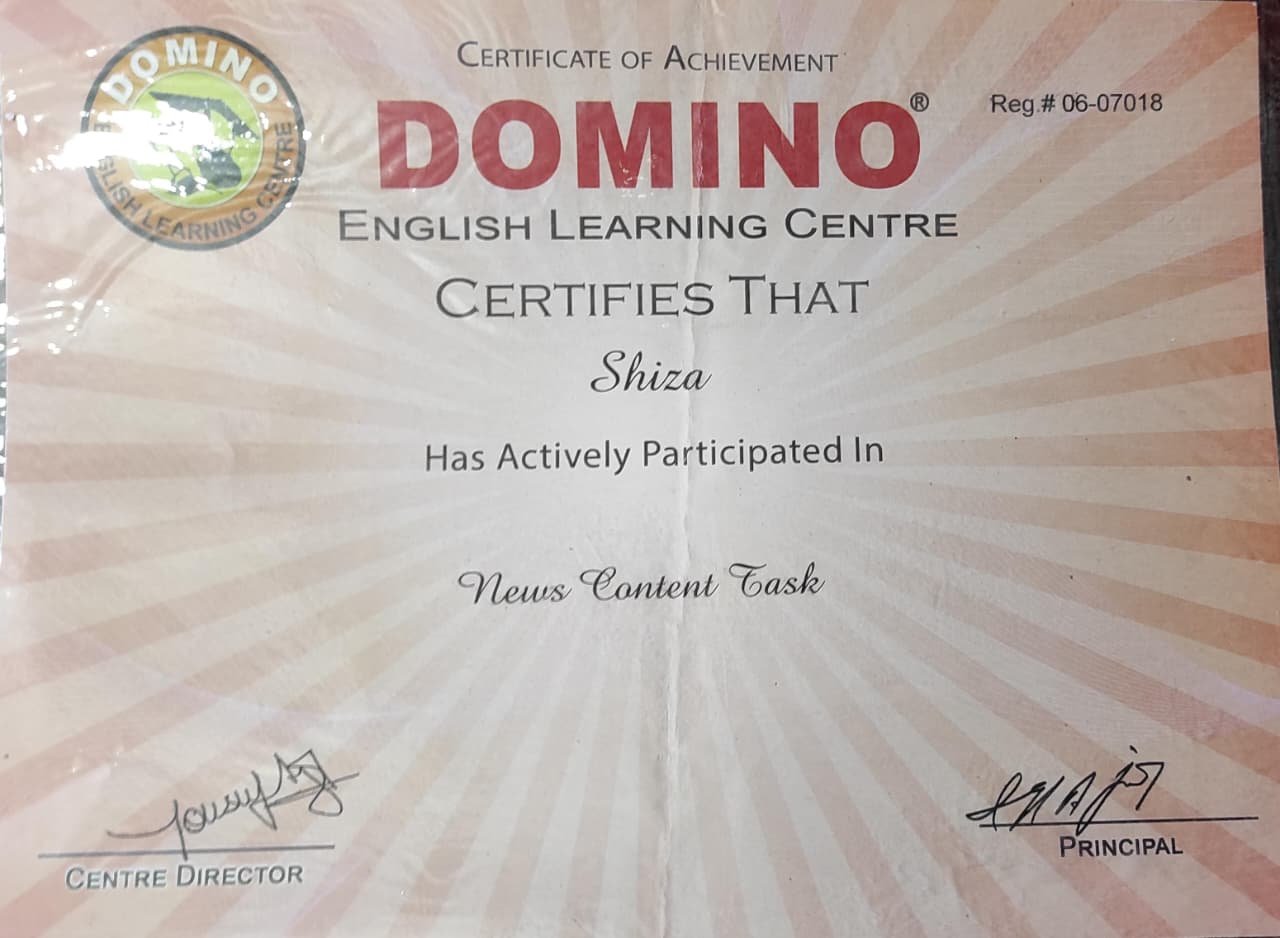 Certificate of Appreciation - Domino