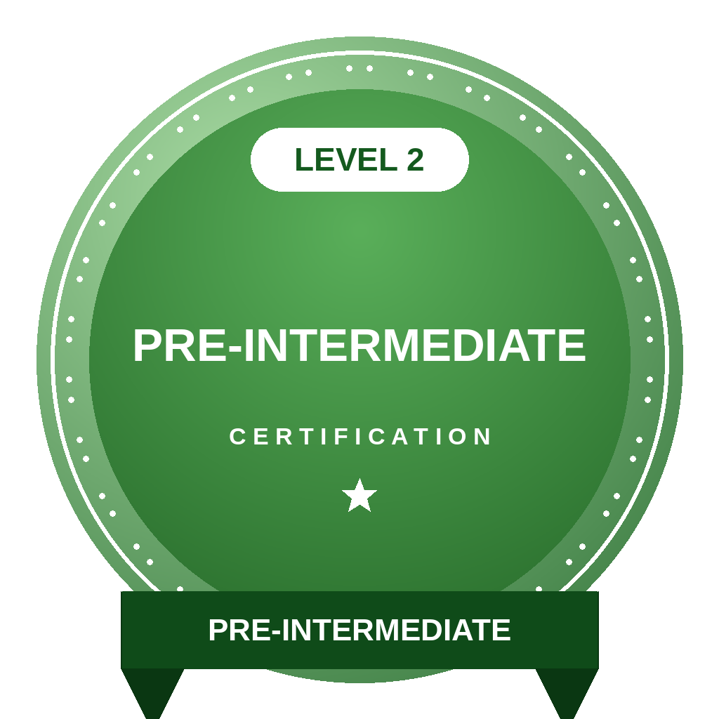 level2 preintermediate badge