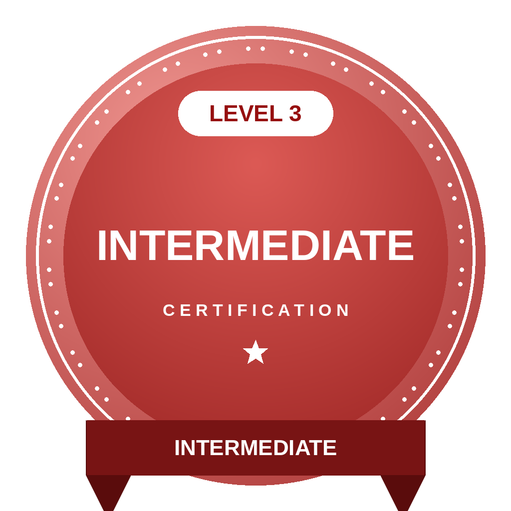 level3 intermediate badge
